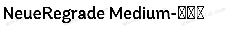 NeueRegrade Medium字体转换
